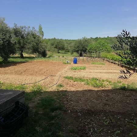 Apartmani Sladic Skradin Bagian luar foto