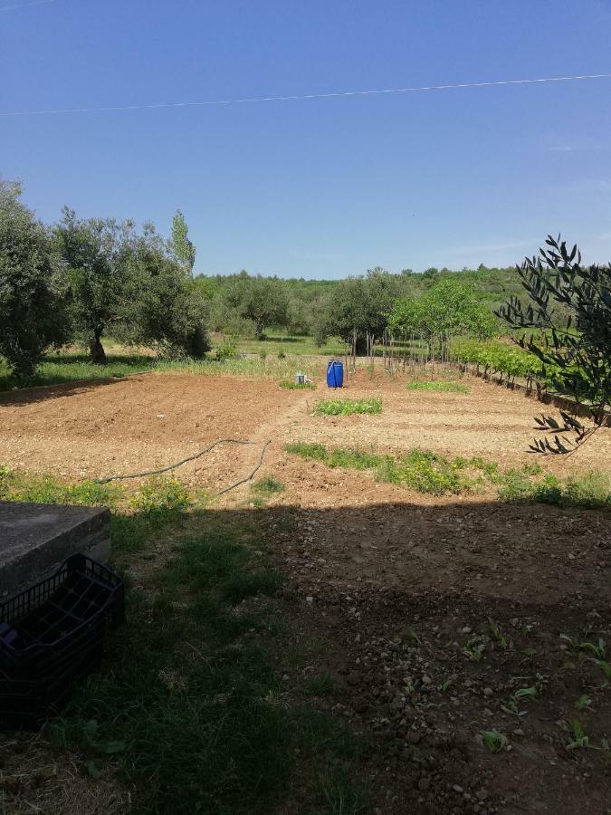 Apartmani Sladic Skradin Bagian luar foto